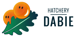 Logo EN